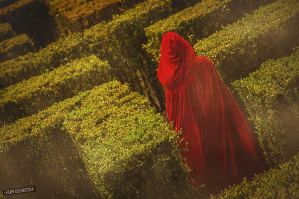 Red Riding Hood | Photo Shoot