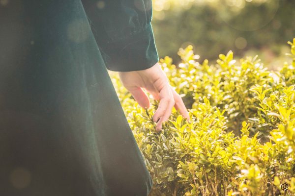 A Winter’s Tale | Photo Shoot