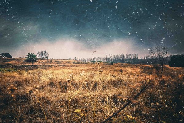 On The Road | Photo Shoot