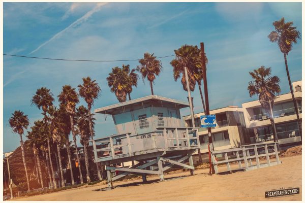 California Dreamin’