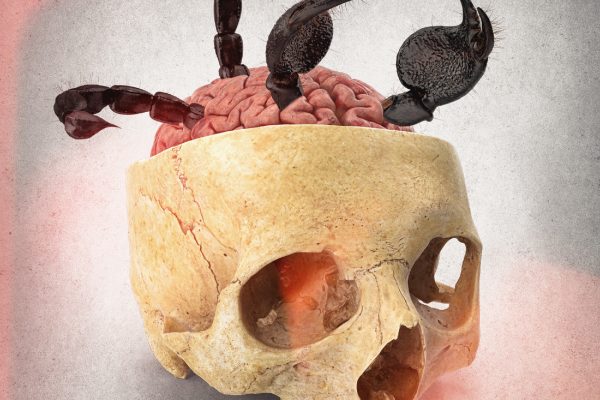 Full Of Scorpions Is My Mind