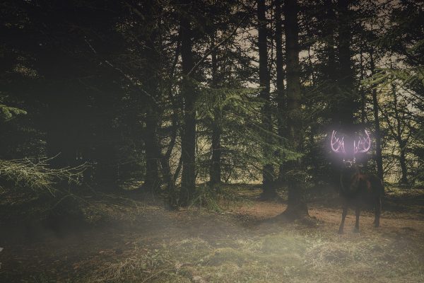 Protector Of The Dark Woods | Bunny & Colt Photo Shoot