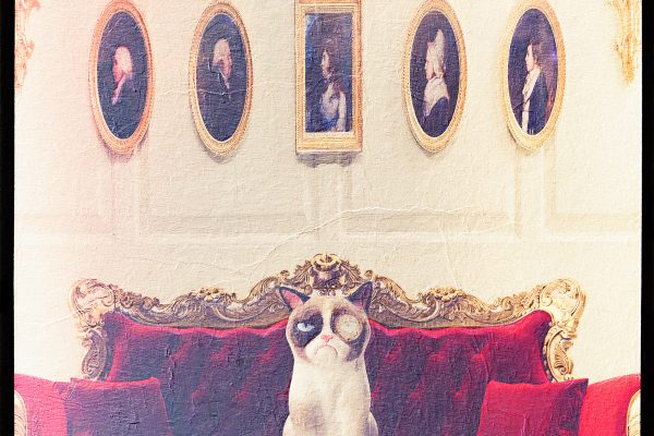 La Nouvelle Bourgeoisie I