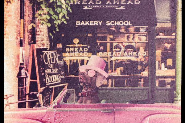 La Nouvelle Bourgeoisie II