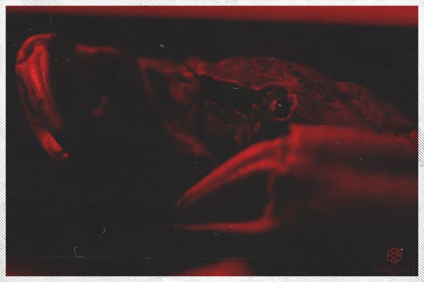 Death Awaits Us All | Photo Shoot