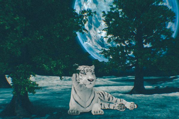 The Middle Of Nowhere