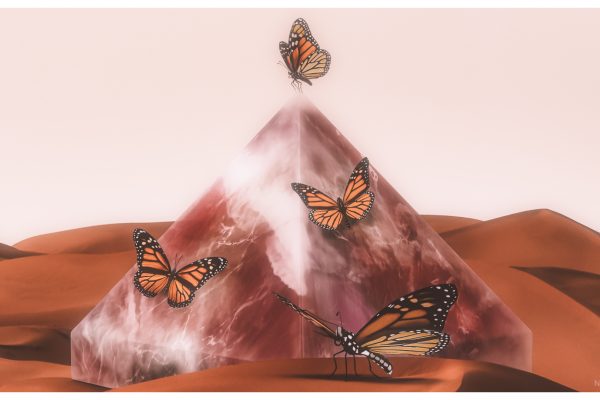 Monarch