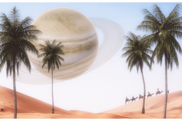 Oasis