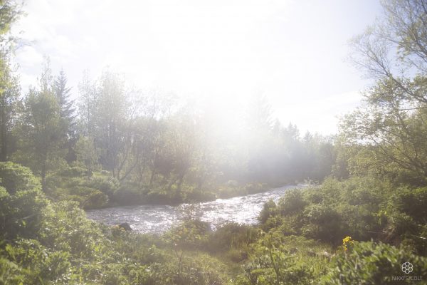 Elliðaár | Photo Shoot